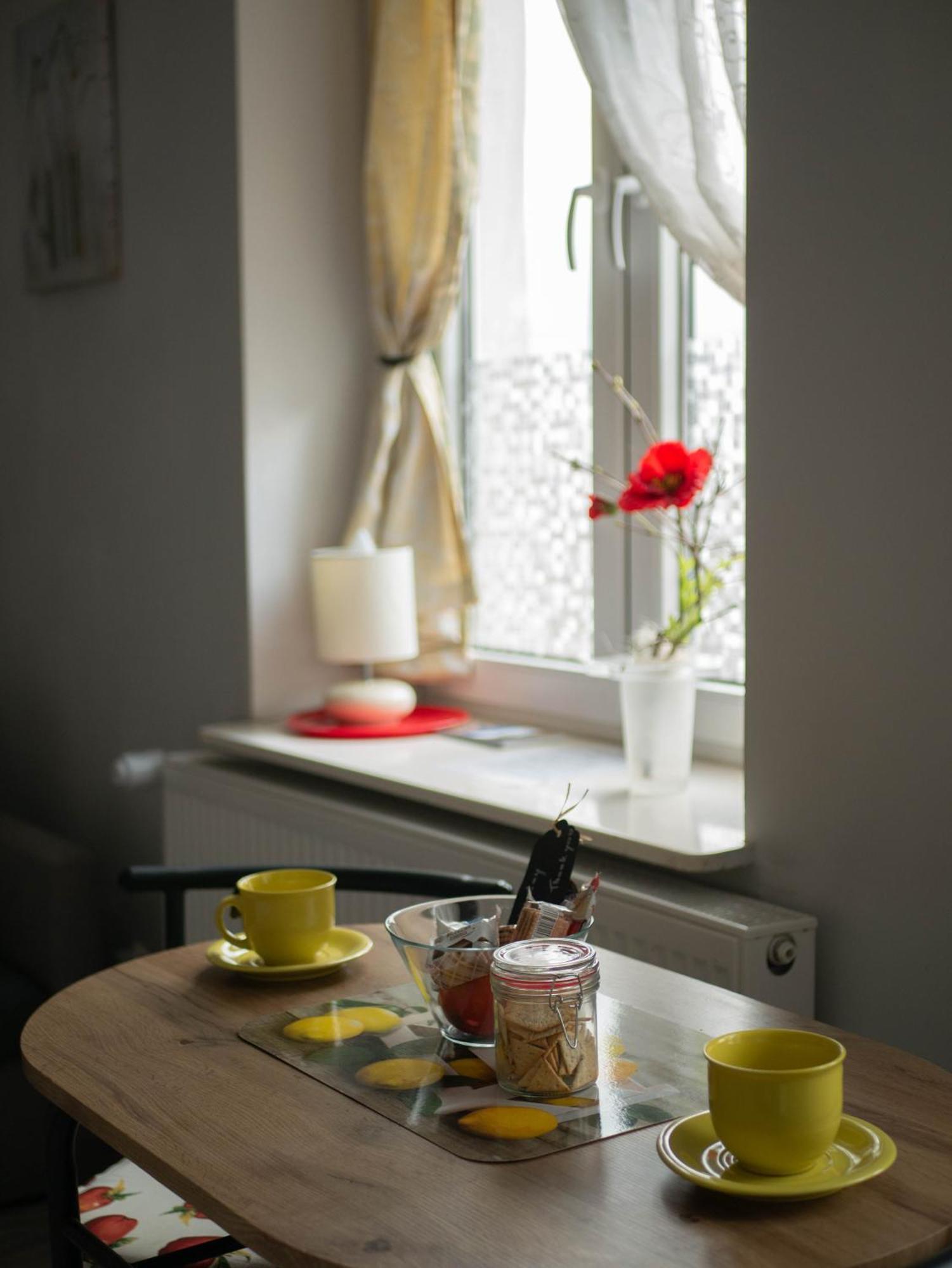 Apartament Przy Synagodze 프르제미슬 외부 사진